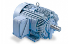 TECO IEEE-841 Motors