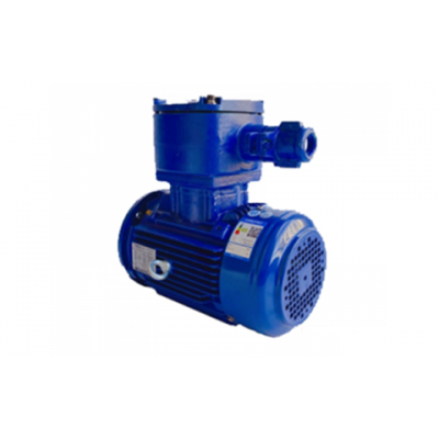 TECO Exd IIBT4 Explosion-Proof Motors